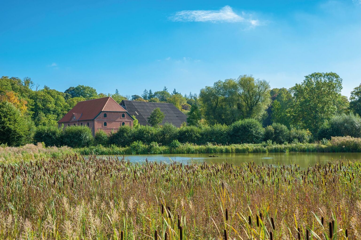 Landschaft nahe dem Gut Güldenstein bei Harmsdorf