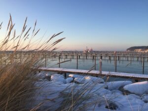 Winter im Hafen an der Ostsee. Nur ein Bott legt am Hafen an, die Sonne steht tief und die anliegenden Ufer sind schneebedeckt.