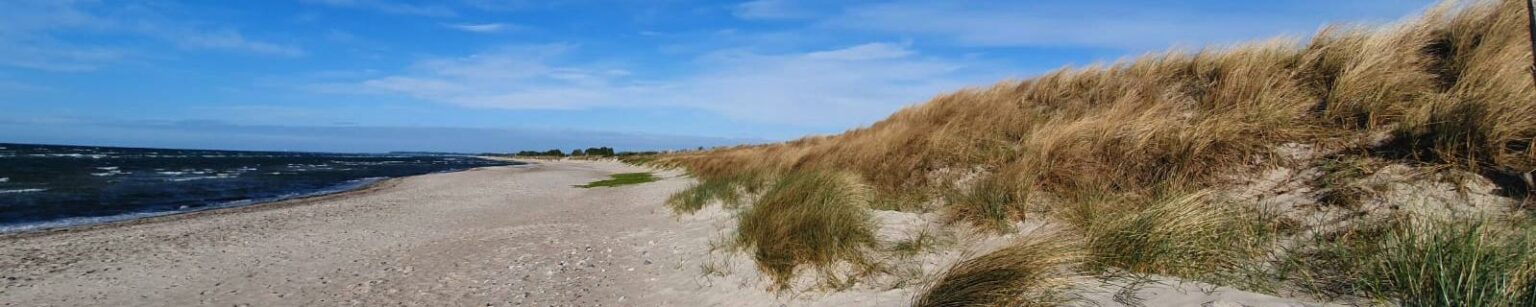 Die Dünen am Strand von Lenste an der Ostsee