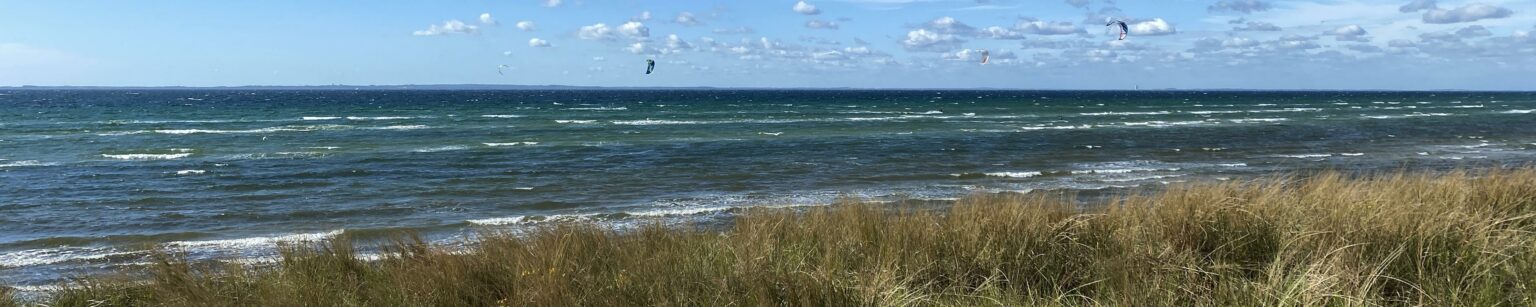 Ein blick durch die Dünen auf die windige Ostsee mit drei Windwurfern.